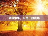转眼繁华，只是一段流觞