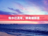 似水已流年，转身堪回首