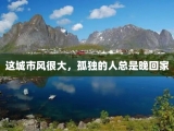 这城市风很大，孤独的人总是晚回家