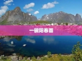 一碗阳春面