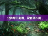 只有想不到的，没有做不到