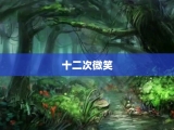 十二次微笑