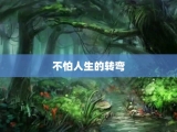 不怕人生的转弯
