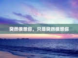 突然很想你，只是突然很想你