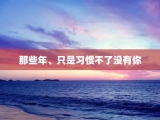 那些年、只是习惯不了没有你