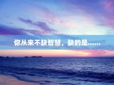 你从来不缺智慧，缺的是......