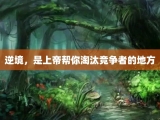 逆境，是上帝帮你淘汰竞争者的地方