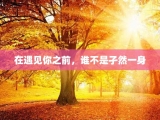 在遇见你之前，谁不是孑然一身