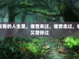 在我的人生里，谁曾来过，谁曾走过，谁又曾停过