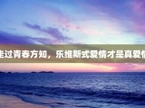 走过青春方知，乐维斯式爱情才是真爱情