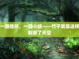 一路挫折，一路小结——竹子就是这样刺穿了天空