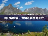我已学会爱，为何还要面对死亡