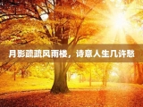 月影疏疏风雨楼，诗意人生几许愁