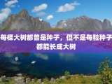每棵大树都曾是种子，但不是每粒种子都能长成大树