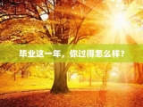 毕业这一年，你过得怎么样？