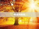 老虎与蚂蚁