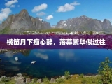 横笛月下痴心醉，落幕繁华似过往