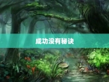 成功没有秘诀