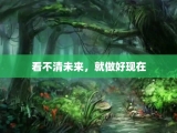 看不清未来，就做好现在