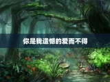 你是我遗憾的爱而不得