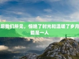 愿我们所见，惊艳了时光和温暖了岁月能是一人
