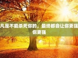凡是不能杀死你的，最终都会让你更强你更强