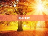 同心无敌