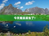 今天我去买车了！