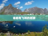 谁都有飞翔的翅膀