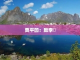 贾平凹：致李珖