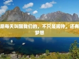 愿每天叫醒我们的，不只是闹钟，还有梦想