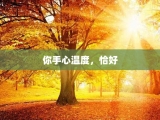 你手心温度，恰好