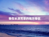 我在长满荒草的地方等你