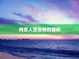 向世人宣告我的目标
