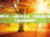 黄小平：一根刺的命运，只是在最后被人坚决地拔除吗？