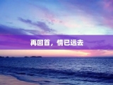 再回首，情已远去