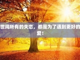 世间所有的失恋，都是为了遇到更好的爱！