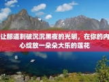 让那道刺破沉沉黑夜的光明，在你的内心绽放一朵朵大乐的莲花