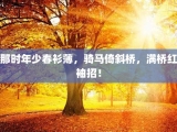 那时年少春衫薄，骑马倚斜桥，满桥红袖招！