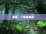 来年，一定去看你