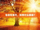 生命在乘方，你用什么做底？