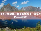 飞不了我就跑，跑不快我就飞，实在不行——我闪！