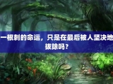 一根刺的命运，只是在最后被人坚决地拔除吗？