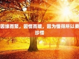 因缘而聚，因情而暖，因为懂得所以要珍惜