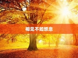 相见不如想念