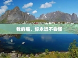 我的痛，你永远不会懂