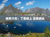 相思只在：丁香枝上 豆蔻梢头