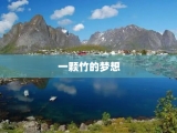 一颗竹的梦想