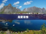 是爱是恨