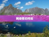 网络情归何处
